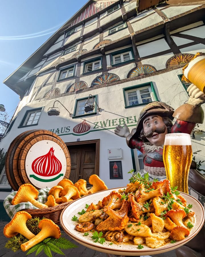 🍄 Pfifferling-Zeit in der Zwiebel!